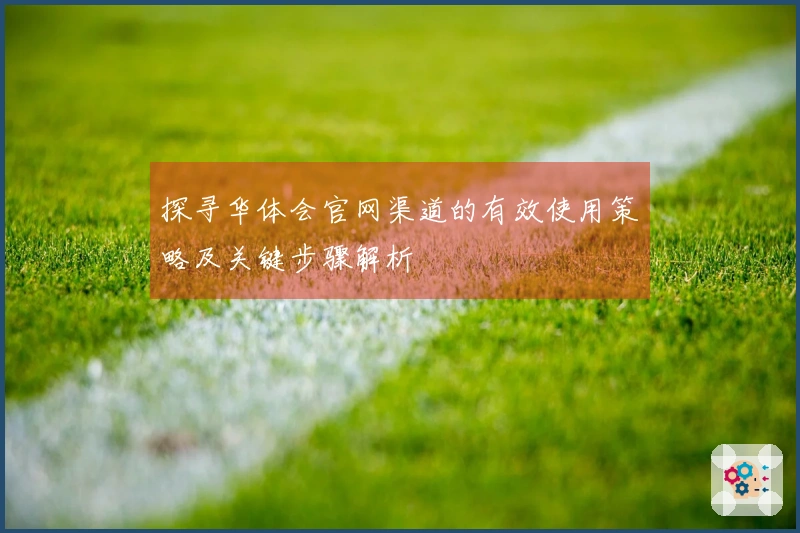 探寻华体会官网渠道的有效使用策略及关键步骤解析