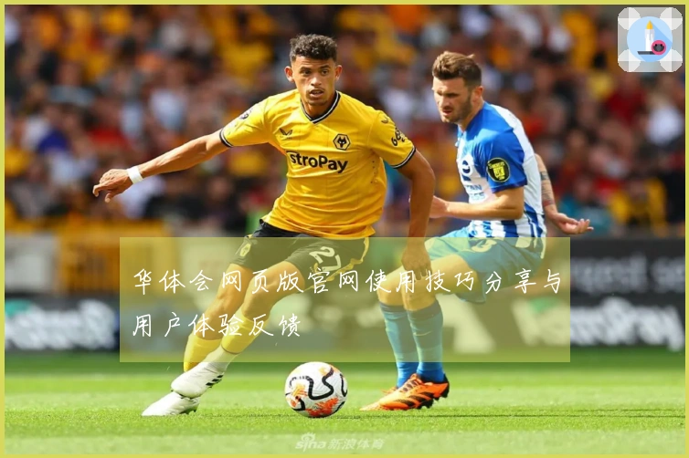 华体会网页版官网使用技巧分享与用户体验反馈