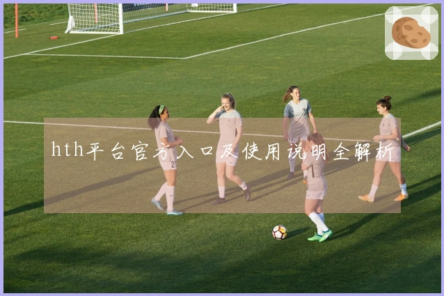 hth平台官方入口及使用说明全解析